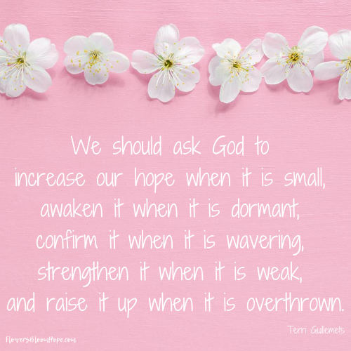 We should ask God to increase our hope when it is small, awaken it when it is dormant, confirm it when it is wavering, strengthen it when it is weak, and raise it up when it is overthrown.