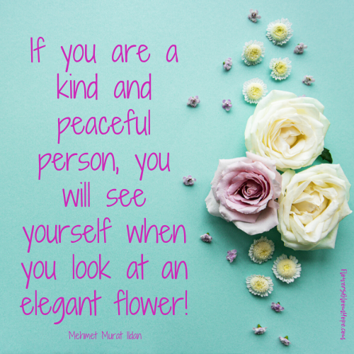 If you are a kind and peaceful person, you will see yourself when you look at an elegant flower!