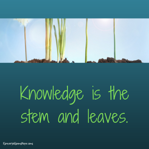 Knowledge is the stem and leaves.