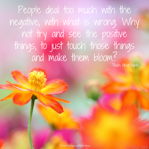 People deal too much with the negative, with what is wrong. Why not try to see the positive things, to just touch those things and make them bloom?
