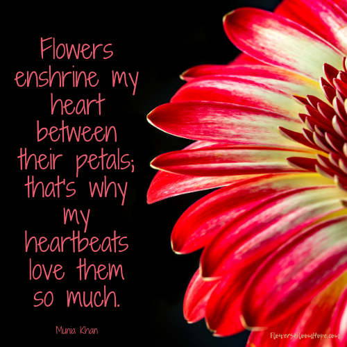 Flowers enshrine my heart between their petals; that's why my heartbeats love them so much.