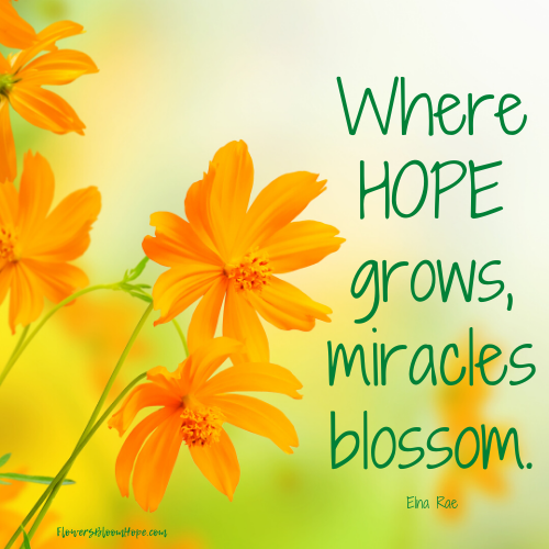 Where hope grows, miracles blossom.