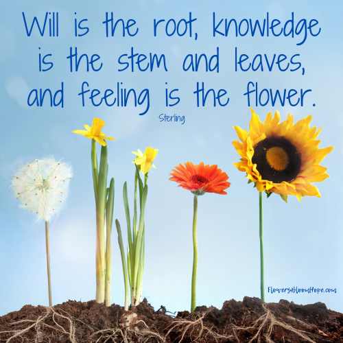 Will is the root, knowledge is the stem and leaves, and feeling is the flower.