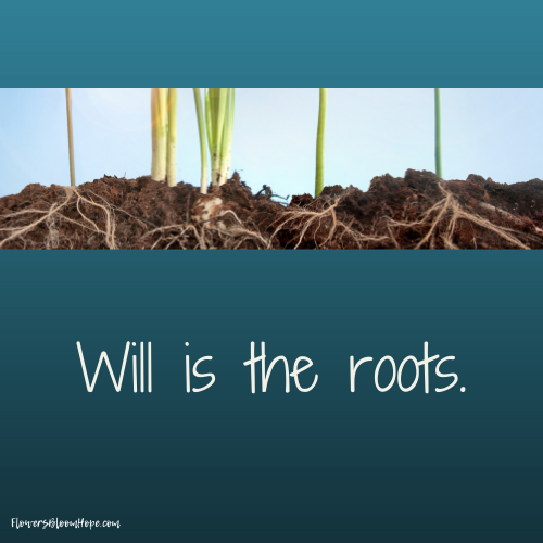 Will is the Roots