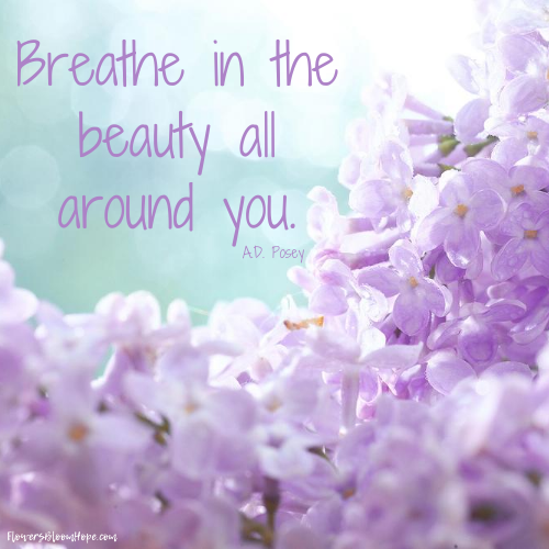 Breathe in the beauty all around you.