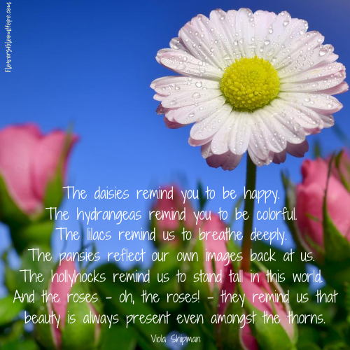 The daisies remind you to be happy. The hydrangeas remind you to be colorful. The lilacs remind us to breath deeply. The pansies reflect our own images back at us. The hollyhocks remind us to stand tall in this world. And the roses - oh, the roses! - they remind us that beauty is always present even amongst the thorns.