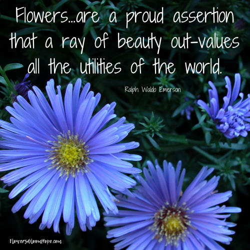 Flowers...are a proud assertion that a ray of beauty out-values all the utilities of the world.