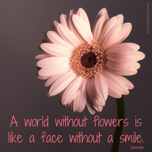 A world without flowers is like a face without a smile.