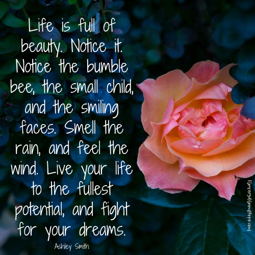 Life is full of beauty. Notice it. Notice the bumble beed, the small child, and the smiling faces. Smell the rain, and feel the wind. Live your life to the fullest potential, and fight for your dreams.