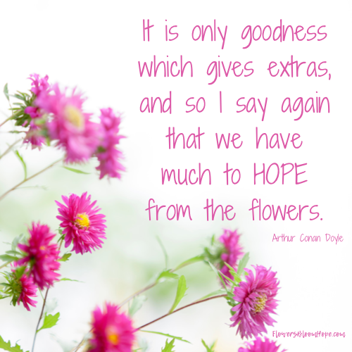 It is only goodness which gives extras, and so I say again that we have much to hope from the flowers.