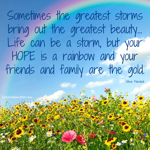 Sometimes the greatest storms bring out the greatest beauty...Life can be a storm, but your hope is a rainbow and your friends and family are the gold.