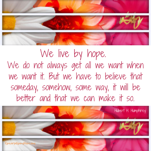 We live by hope. We do not always get all we want when we want it. But we have to believe that someday, somehow, some way, it will be better and that we can make it so.