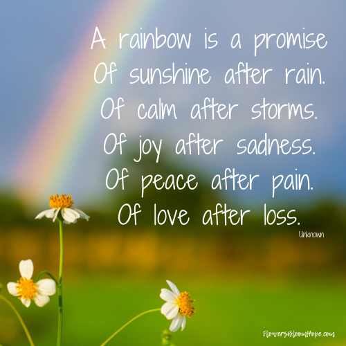 A rainbow is a promise of sunshine after rain. Of calm after storms. Of joy after sadness. Of peace after pain. Of love after loss.