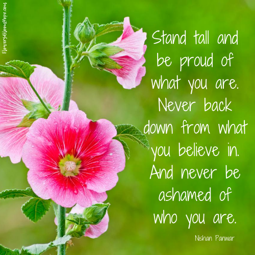 Stand tall and be proud of what you are. Never back down from what you believe in. And never be ashamed for who you are.