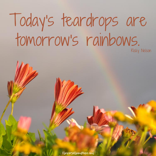 Today's teardrops are tomorrow's rainbows.