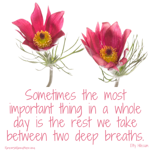 Sometimes the most important thing in a whole day is the rest we take between two deep breath.s