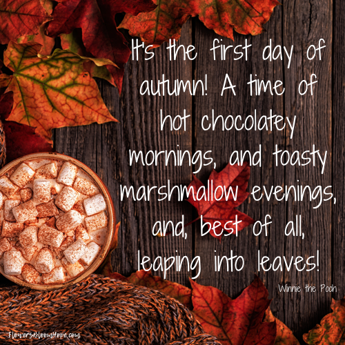 It's the first day of autumn! A time of hot chocolatey mornings, and toasty marshmallow evenings, and, best of all, leaping into leaves!