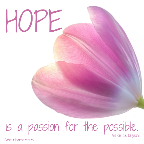 Hope is a passion for the possible.