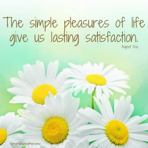 The simple pleasures of life give us lasting satisfaction.