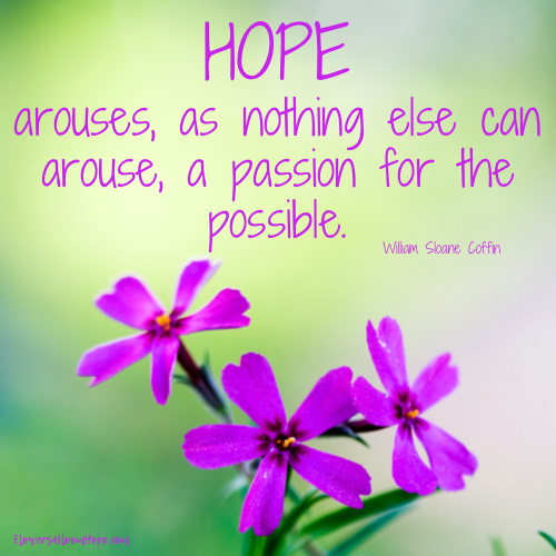 Hope arouses, as nothing else can arouse, a passion for the possible.