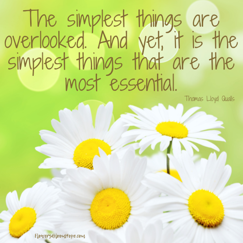 The simplest things are overlooked. And yet, it is the simplest things that are the most essential.