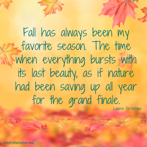 Fall has always been my favorite season. The time when everything bursts with its last beauty, as if nature had been saving up all year for the grand finale.