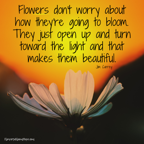 Flowers don't worry about how they're going to bloom. They just open up and turn toward the light and that makes them beautiful.