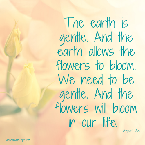 The earth is gentle. And the earth allows the flowers to bloom. We need to be gentle. And the flowers will bloom in our life.