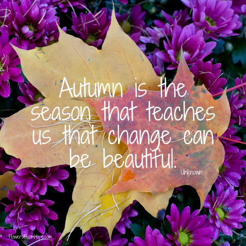 Autumn is the season that teaches us that change can be beautiful.