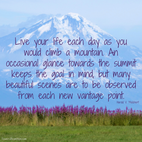Live your life each day as you would climb a mountain. An occasional glance towards the summit keeps the goal in mind, but many beautiful scenes are to be observed from each new vantage point.