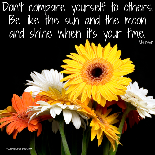 Don't compare yourself to others. Be like the sun and the moon and shine when it's your time.