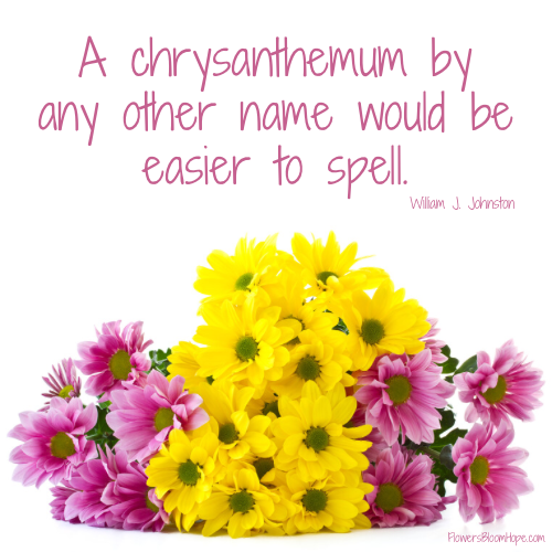 A chrysanthemum by any other name would be easier to spell.