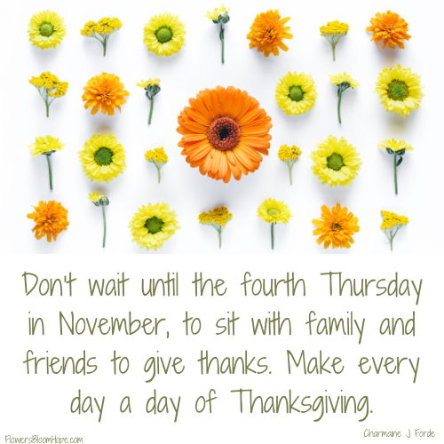 Don't wait until the fourth Thursday in November, to sit with family and friends to give thanks. Make every day a day of Thanksgiving.