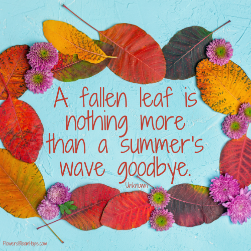 A fallen leaf is nothing more than a summer's wave goodbye.