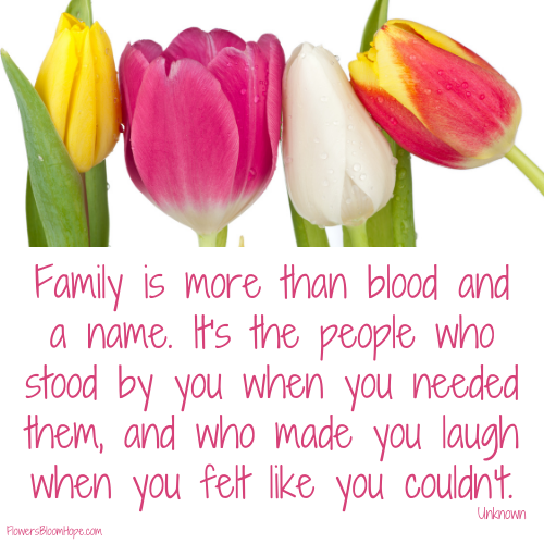 Family is more than blood and a name. It's the people who stood by you when you needed them, and who made you laugh when you felt like you couldn't.