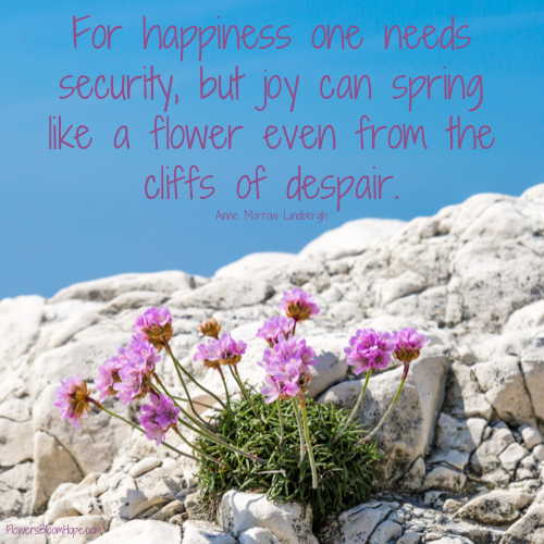 For happiness one needs security, but joy can spring like a flower even from the cliffs of despair.