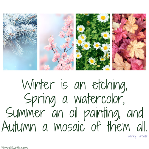 Winters is an etching, Spring a watercolor, Summer an oil painting, and Autumn a mosaic of them all.
