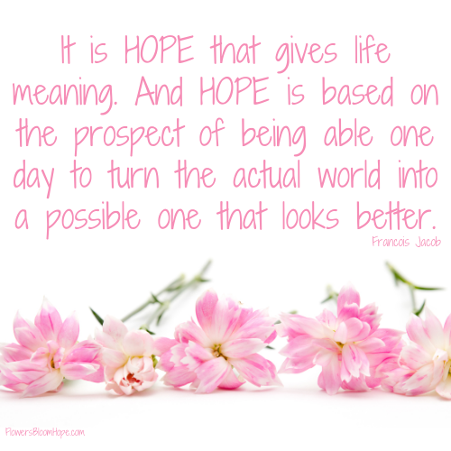 It is hope that gives life meaning. And hope is based on the prospect of being able one day to turn the actual world into a possible one that looks better.