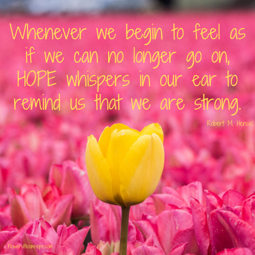 Whenever we begin to feel as if we can no longer go on, hope whispers in our ear to remind us that we are strong.