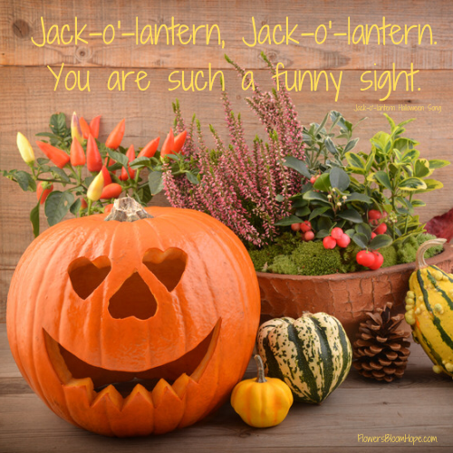 Jack-o'-lantern, Jack-o'-lantern. You are such a funny sight.