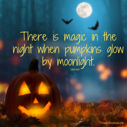 There is magic in the night when pumpkins glow by moonlight.