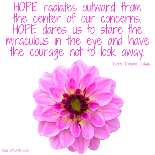 Hope radiates outward from the center of our concerns. Hope dares us to stare the miraculous in the eye and have the courage not to look away.
