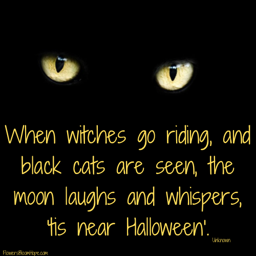 When witches go riding, and black cats are seen, the moon laughs and whispers, 'tis near Halloween'.