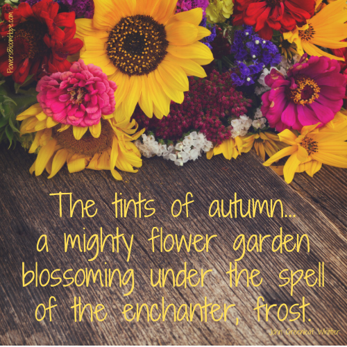 The tints of autumn...a mighty flower garden blossoming under the spell of the enchanter, frost.