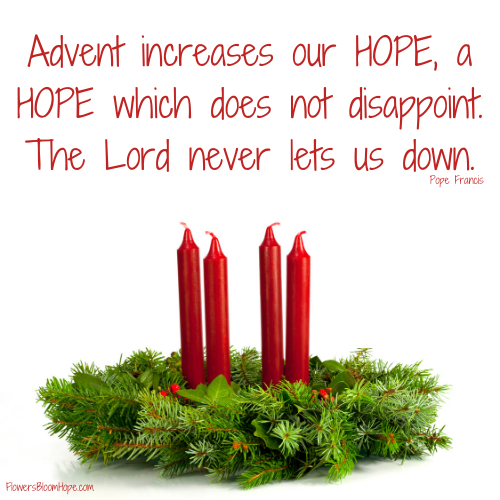 Advent increases our hope, a hope which does not disappoint. The Lord never lets us down.