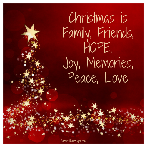 Christmas is Family, Friends, HOPE, Joy, Memories, Peace and Love.
