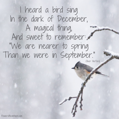 I heard a bird sing In the dark of December, A magical thing, And sweet to remember: "We are nearer to spring Than we were in September."