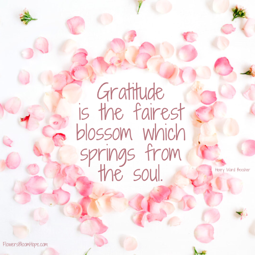 Gratitude is the fairest blossom which springs from the soul.