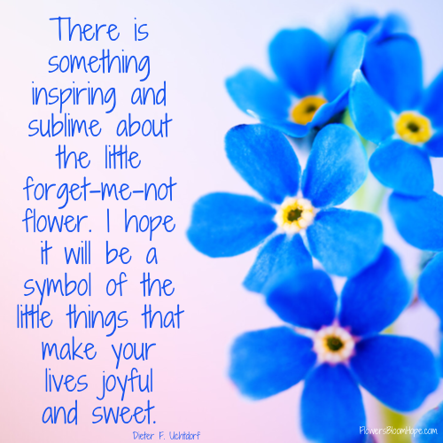 There is something inspiring and sublime about the little forget-me-not flower. I hope it will be a symbol of the little things that make your lives joyful and sweet.