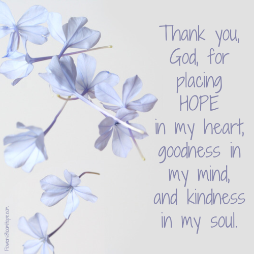 Thank you, God, for placing hope in my heart, goodness in my mind, and kindness in my soul.